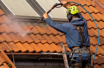 Démoussage et hydrofuge de toiture à Vitot